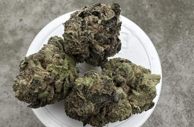 girl scout cookies strain