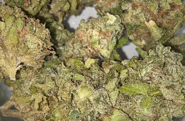 spritzer strain - featured image
