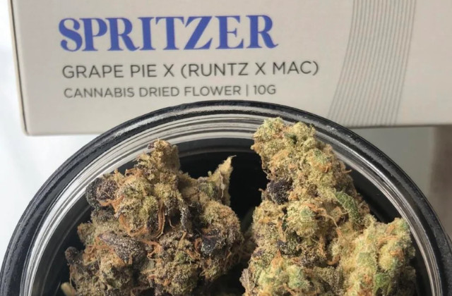 spritzer strain