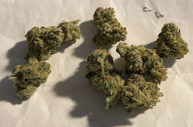 PR OG nugs