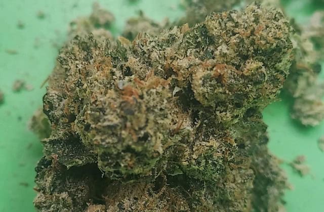 PR OG strain - featured image