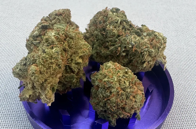 blue dream Maine - reddit