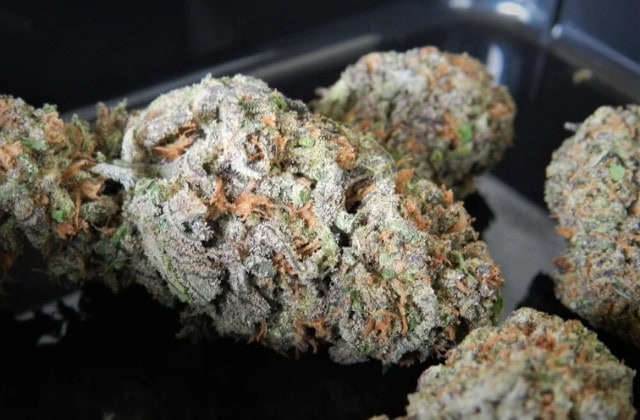 godfather og OR