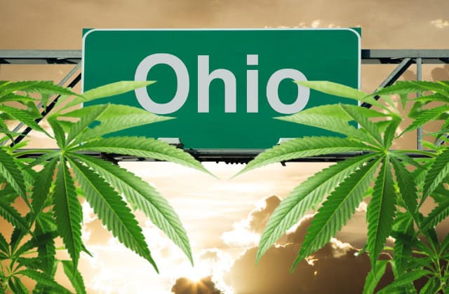 where to buy in Ohio - featured image