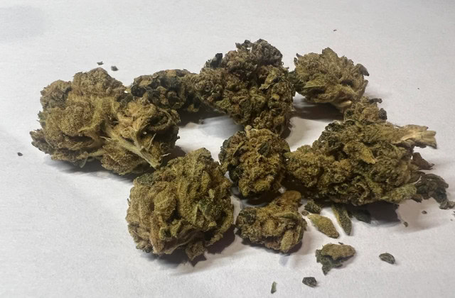 GG4 strain