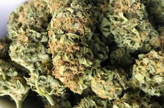 durban poison close up