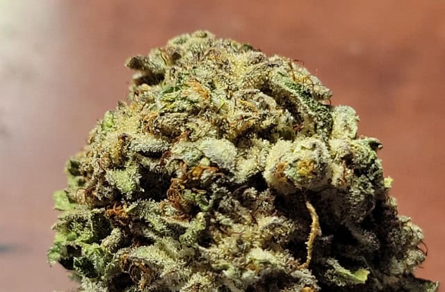 godfather og