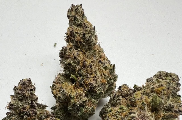 point break strain - featured image
