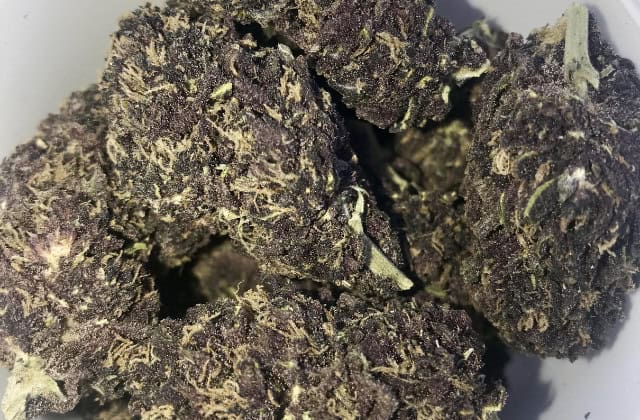 siruis black strain