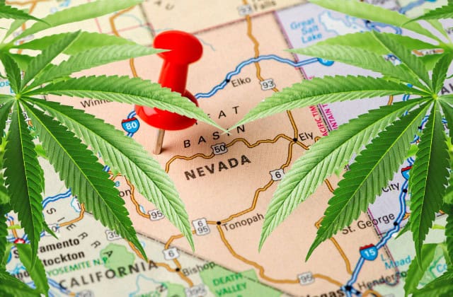 where to buy in Nevada - featured image