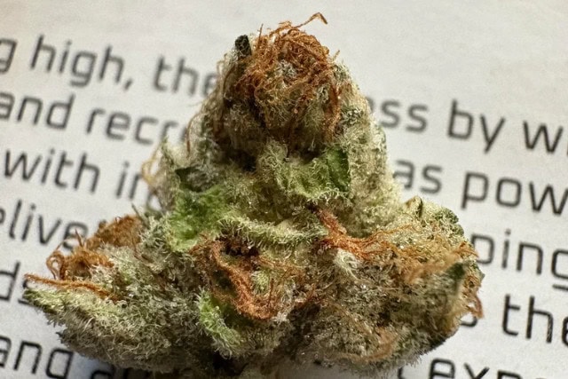 cherry cheesecake nug