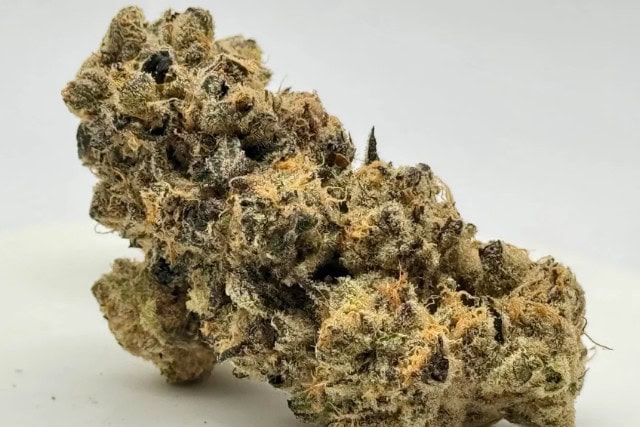 cherry cheesecake strain - featured image