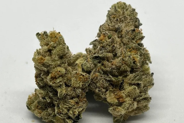 bruce banner - colorado
