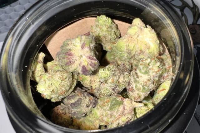 flapjacks strain close up shot