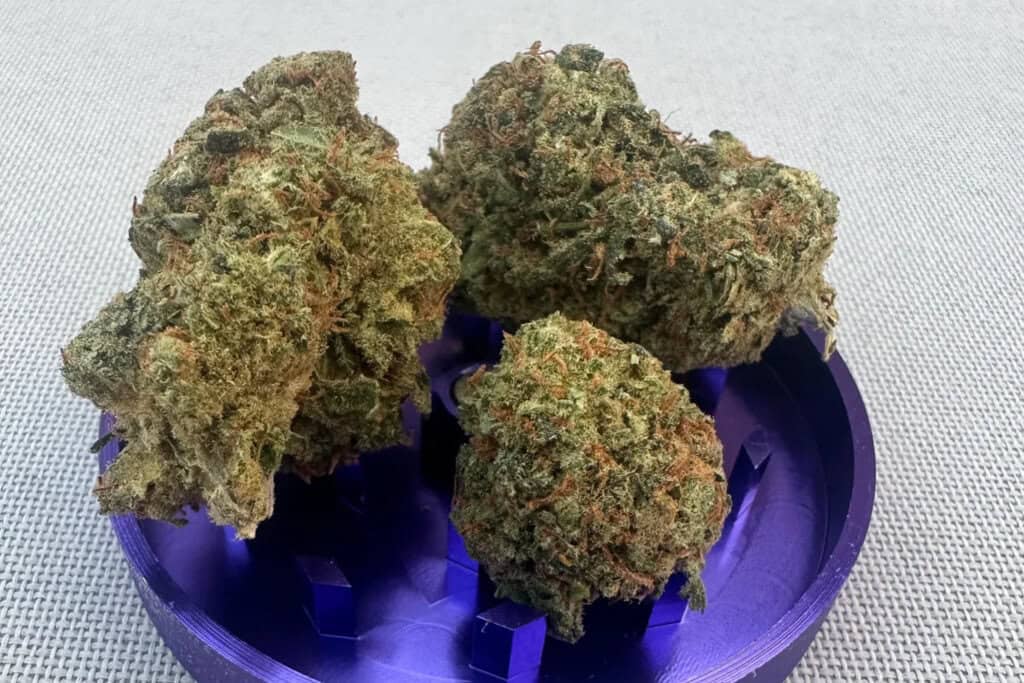 blue dream - WI