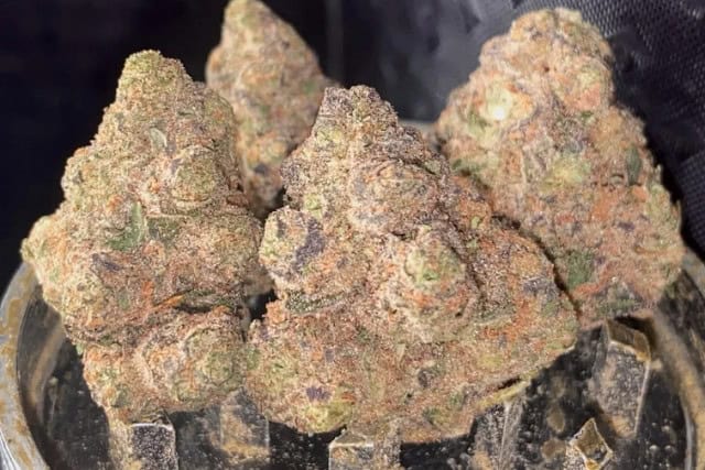 farm gas strain - featured image