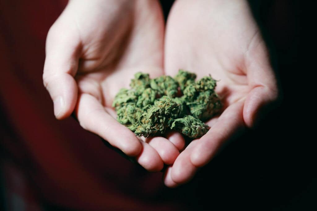kush in closeup - featured image