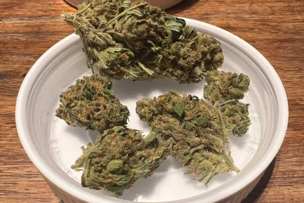 white widow - WI