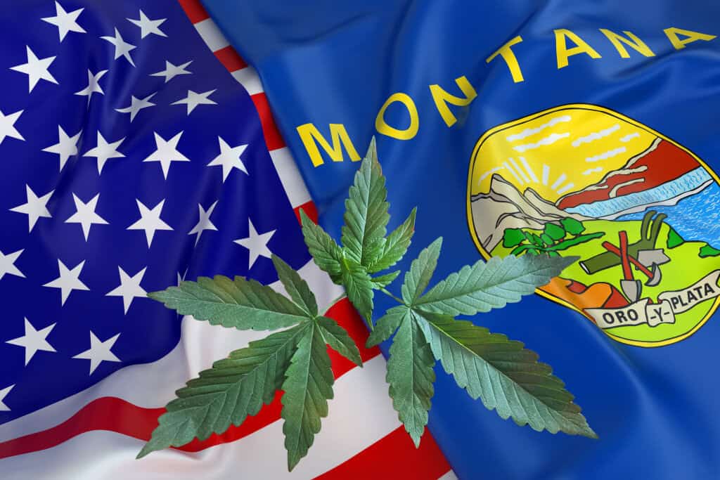 Where to buy in MT