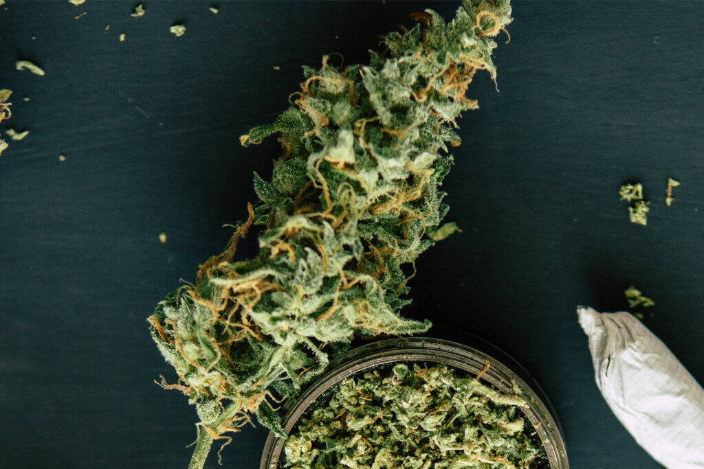 gobbilygoo strain
