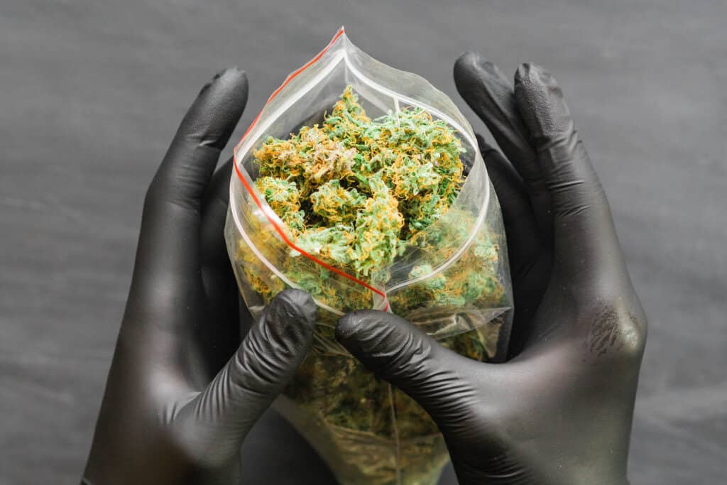 holding a packet of weeds - featured image