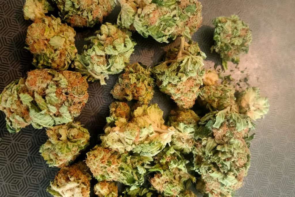 White Widow - QC