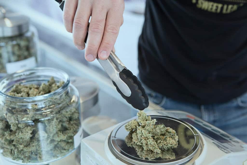 weighing dried weed
