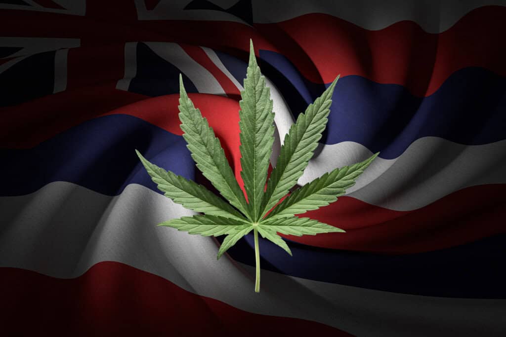 where to buy in Hawaii - featured image