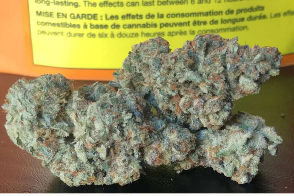Sorbetto strain - featured image