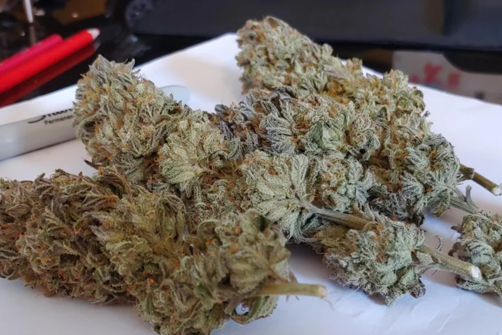 northern lights - AK