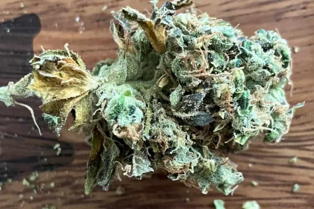 Sour Diesel - TN
