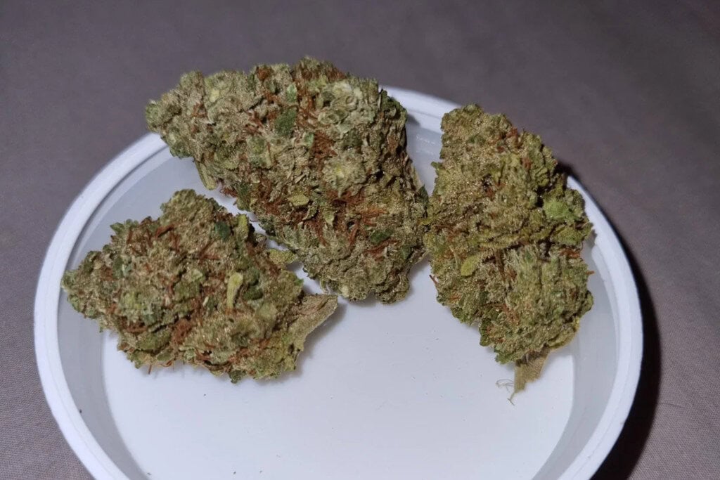 Super Silver Haze - TN
